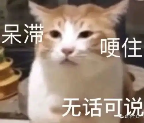 网友的脑洞有多新奇呢每个环节都在我的意料之外