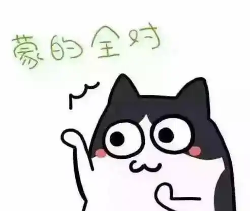 注会科目搭配碰上唯物主义怎么办