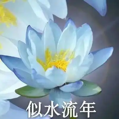 测试一个超长简介的文章