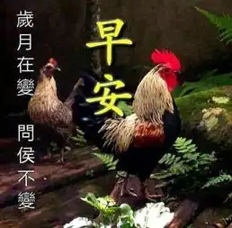 盛夏早上好问候语图片大全早上好语录动态表情包