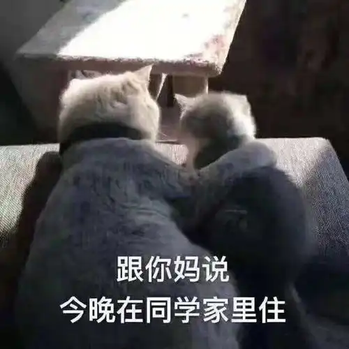 搞笑gif趣图有个姐姐,是多么幸福的一件事情啊