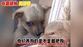 奇葩搞笑视频保定方言配音有个爱蹦迪的爷爷是什么样的体验