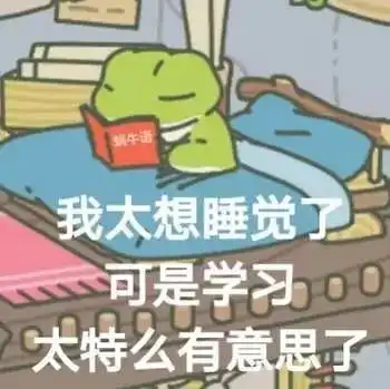 如果旅行青蛙是个高中生