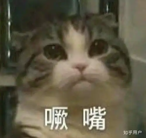 你生平用过最沙雕的表情包是什么