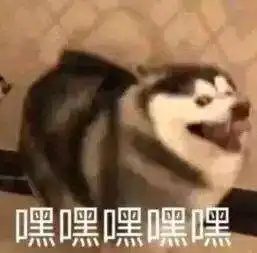 一梦江湖整活现场,玩还是你们会玩