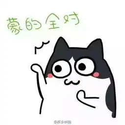 学生向丨盘点各科期末的复习方法