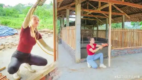 姑娘建造大型散养鸡舍,独自完成地面硬化并建造墙壁,太牛了