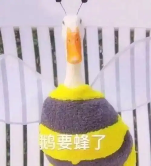 就是想谈恋爱怎摸啦