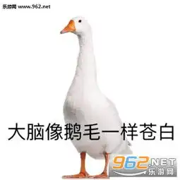 向知识的苦海前进表情包大白鹅学习表情包下载乐游网游戏下载
