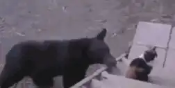 爆笑gif图真的好恶心,妹纸真的是忍无可忍了