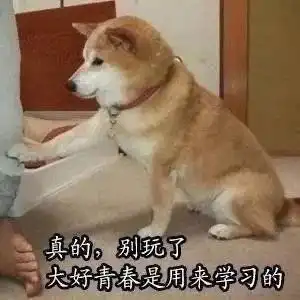 学习沙雕表情包世界纷纷扰扰,我的心里只有学习