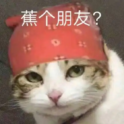 自拍软件排行榜2020年最火的自拍软件大全嗨客手机站