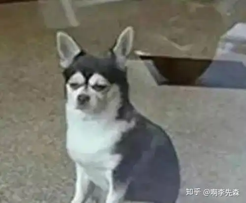 测试一个超长简介的文章