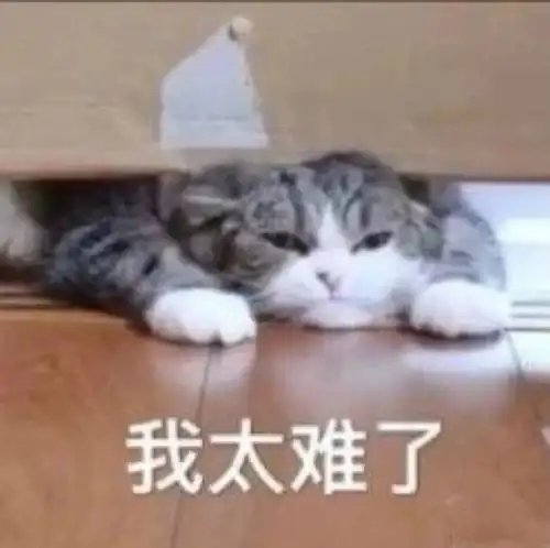 热门表情包图片我错了,我太难了,伤心总是难免