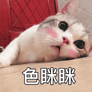 聊天斗图表情包哥哥我投降