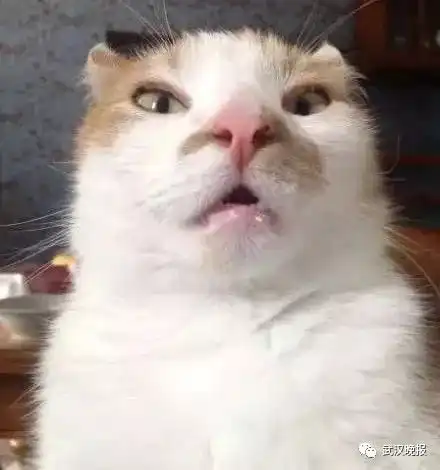令人绝望的神技术看完爸妈给我拍的旅行照,我只想