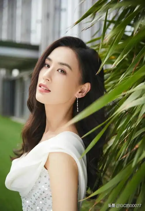 明星图片黄圣依