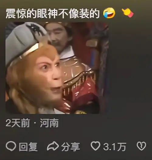 没发现猴哥的表情这么好笑,悟空笑脸给多了虎力大仙已老实
