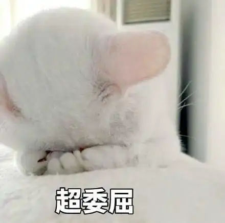 每日搞笑忍住不哭,让人开心的沙雕语句