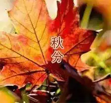 秋分丨一场秋雨一场寒健康养生要记牢