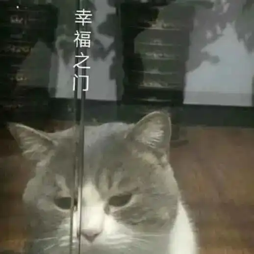 微信群聊天,表情包拿图片隔着屏幕你又打不到我