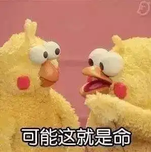 经典吐槽你的童年是怎么忍受这些神烦广告的