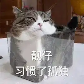习惯了用英文怎么说从零开始学英语