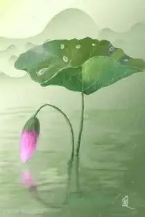荷花雨天荷叶池塘插画图片千库网