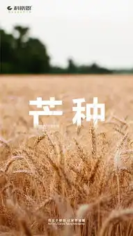小暑夏至芒种高考