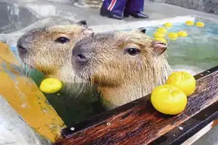 图片新闻