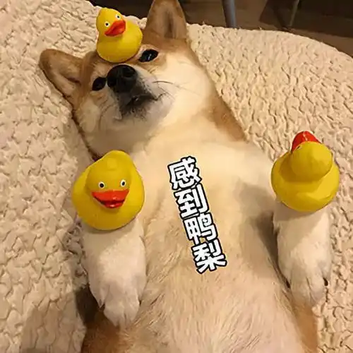 作业周,各位小伙伴们在线吗