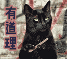 测试一个超长简介的文章