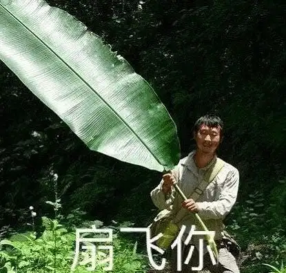 超火的无穷小亮藏狐表情包,大家快来前排围观藏狐在线暴躁