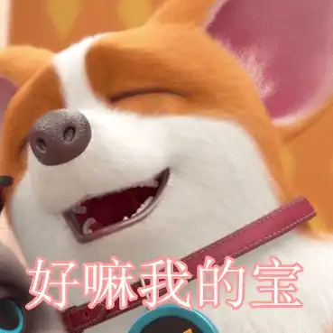 暴躁小狗,是要被做成表情包的