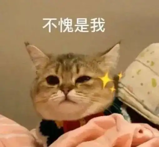 报告老师,糟糕我价值声明居留预注册有问题,怎么入学