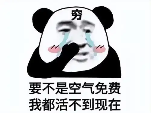 让暴雪整出个暗黑4,给我整完掉线后,我排队50分钟
