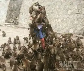 测试一个超长简介的文章