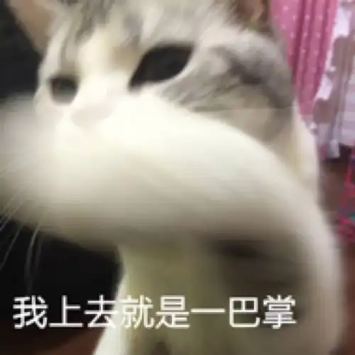 今日表情包推荐,98