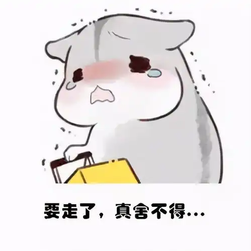 叮这里有一份毕业礼物快来查收吧