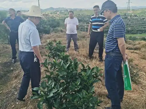 第93批中国博士后科技服务团在江西赣州宁都开展服务