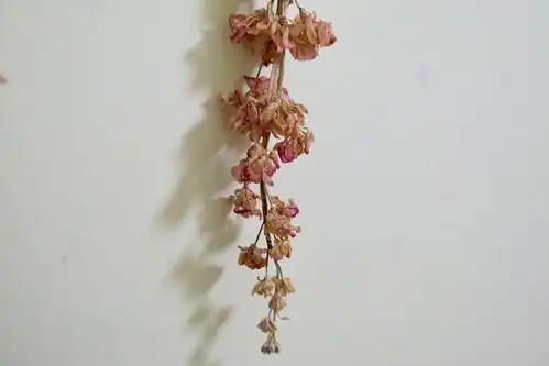 索尼微单入手814天什么才是好玩的