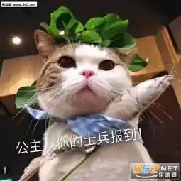 我的心上人真好看表情包这他妈的是什么人间疾苦小熊猫表情包下载乐游网游戏下载