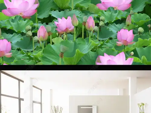 3d立体荷花荷叶池塘鲜花植物地板图片素材下载