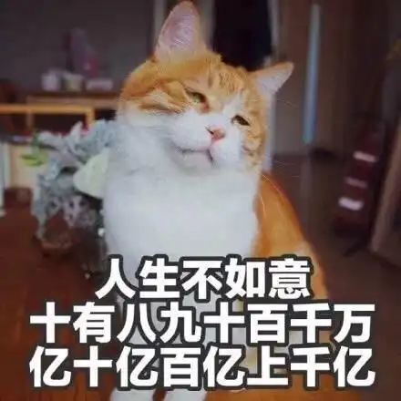可爱萌猫说了这些搞笑的话