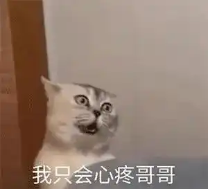 一样东西火不火,看它有没有梗图就知道了