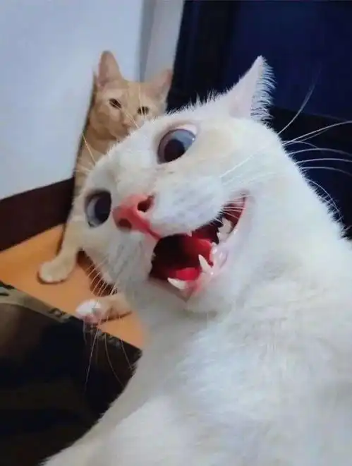 开心一刻