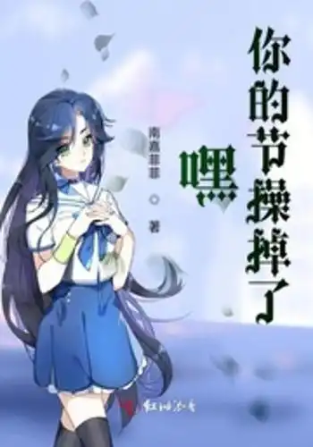 嘿你的节操掉了