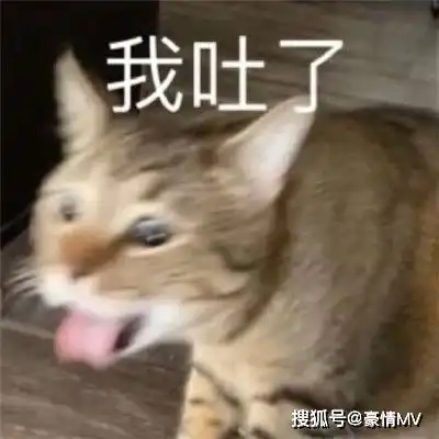 斗图怼人的群聊表情包我劝你谨言慎行斗图表情合集