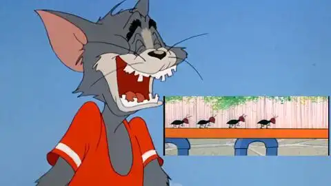 那年的tom满嘴烂牙的猫