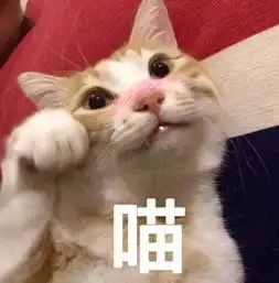 气到想跳脚,胖子竟然对瘦子提出这么蠢的问题